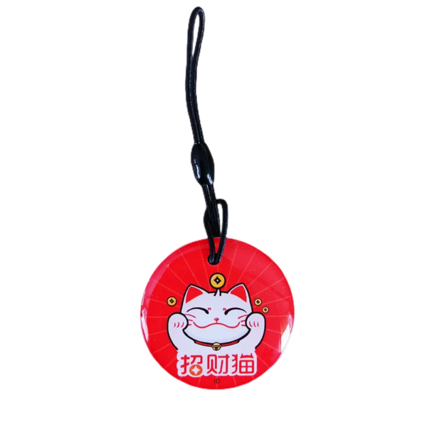 10507-ac41b6.png etiquette rfid vierge inscriptible 125KHz EM4305 T5577, étiquette de clé