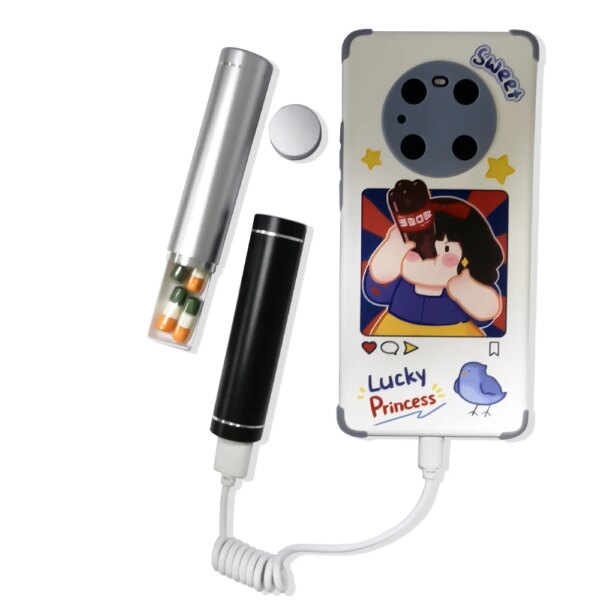 coffre fort secret Fausse Station de charge, banque d'alimentation Portable