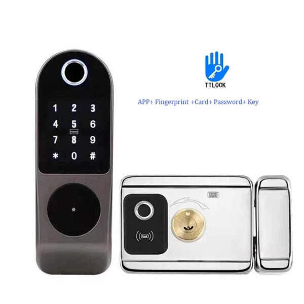 Serrure porte intelligente Tuya Wifi