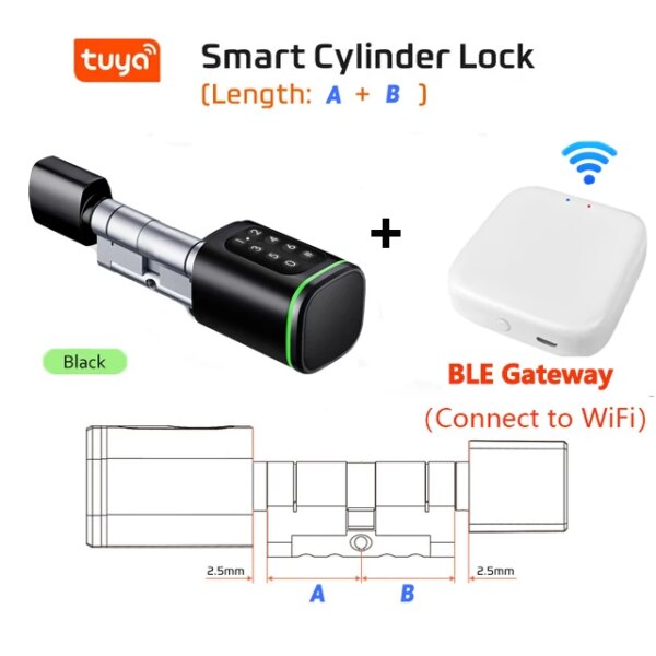 serrure porte intelligente, Bluetooth, application Wifi, télécommande, carte RFID